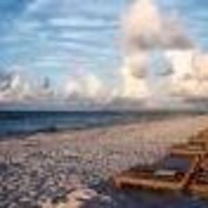 Meet your Posher, Trish